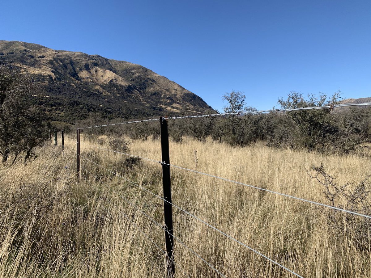 Fence Posts Premium Rural Fencing Waratah NZ Fencing