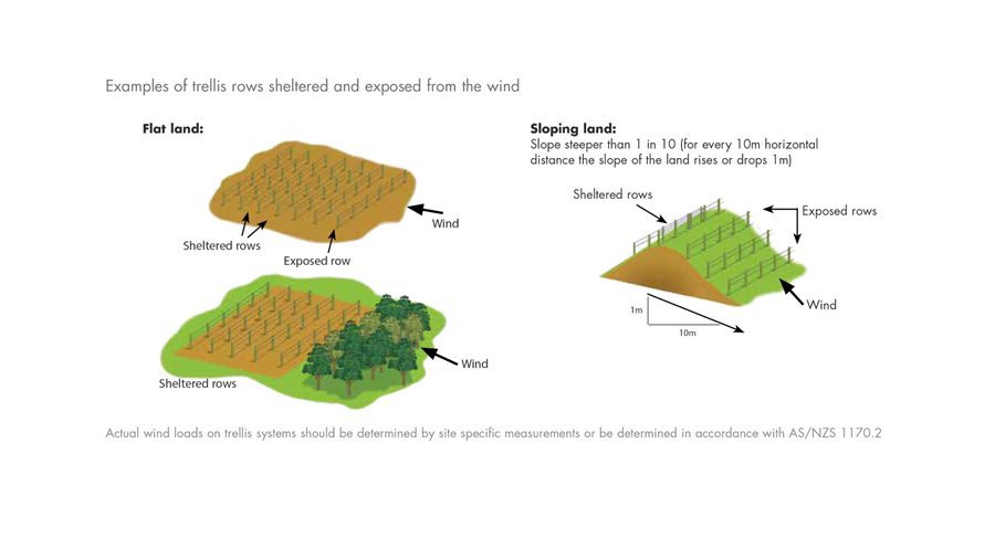 WAR_WebsiteImages-Viticulture-Trellising-trellisrowsdiagram-01-(1).jpg