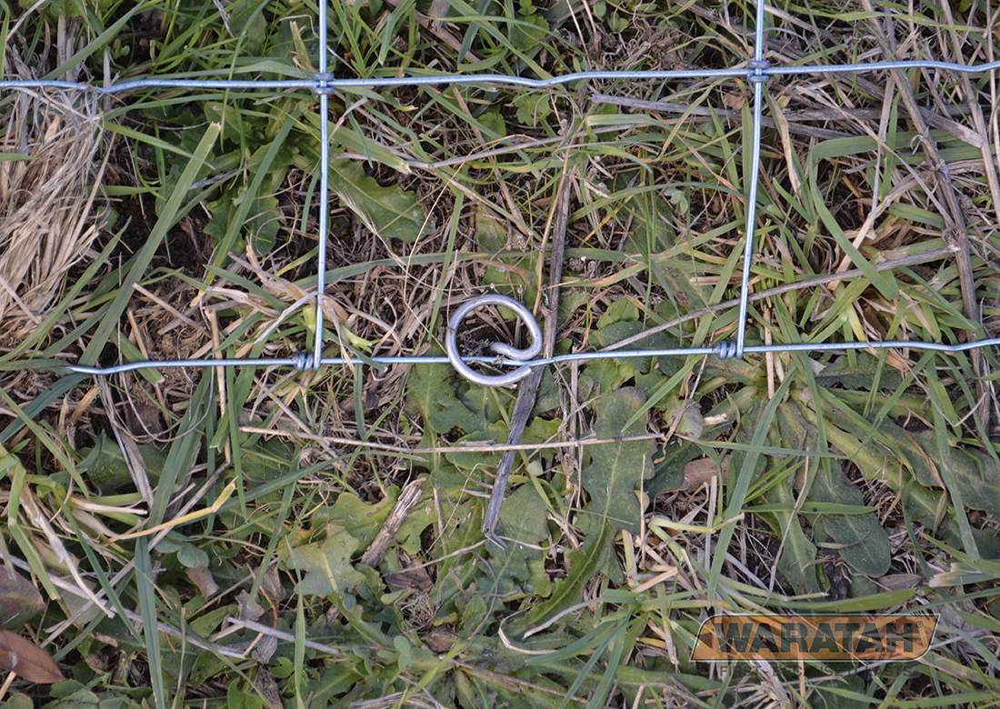 WAR Terra Pins Insitu