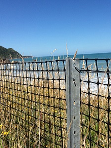 Penguin Fence Close Large