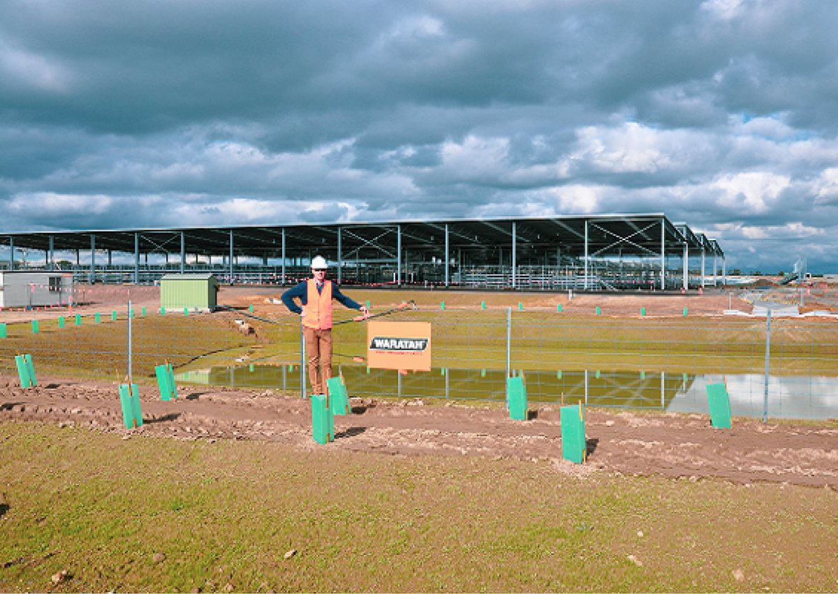 Ballarat Saleyard Construction